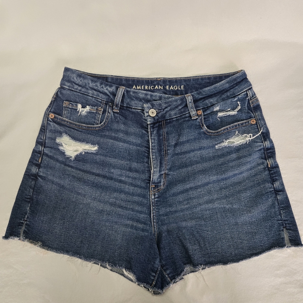 American Eagle Outfitters Distressed Dark Blue High Waisted Mom Shorts, Size 10